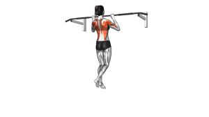 Read more about the article Shoulder-Width Grip Pull-Up