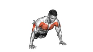 Read more about the article Side Kneeling Push-Up