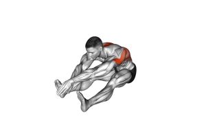Read more about the article Sitting Bent-Over Back Stretch
