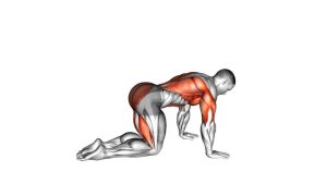 Read more about the article Sliding Leg Bird Dog