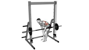 Read more about the article Smith Single-Arm Bent-Over Row