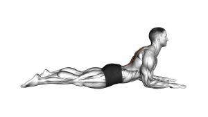 Read more about the article Sphinx Back Extension