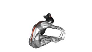 Read more about the article Spine Stretch