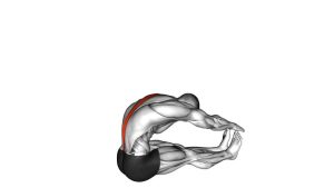 Read more about the article Seated Spine Stretch