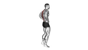 Read more about the article Standing Pelvic Tilt