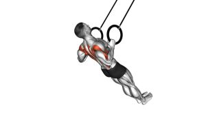 Read more about the article Suspended Row