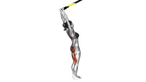 Read more about the article Suspender Hyperextension