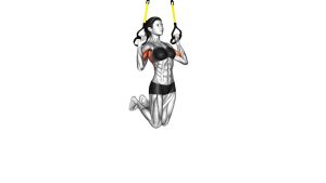 Read more about the article Suspender Pull-Up
