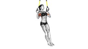 Read more about the article Suspender Self-Assisted Pull-Up