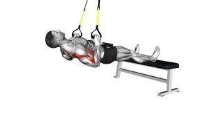 Read more about the article Suspender Weighted Inverted Row