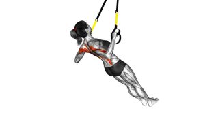 Read more about the article Suspender Wide-Grip Inverted Row on Floor