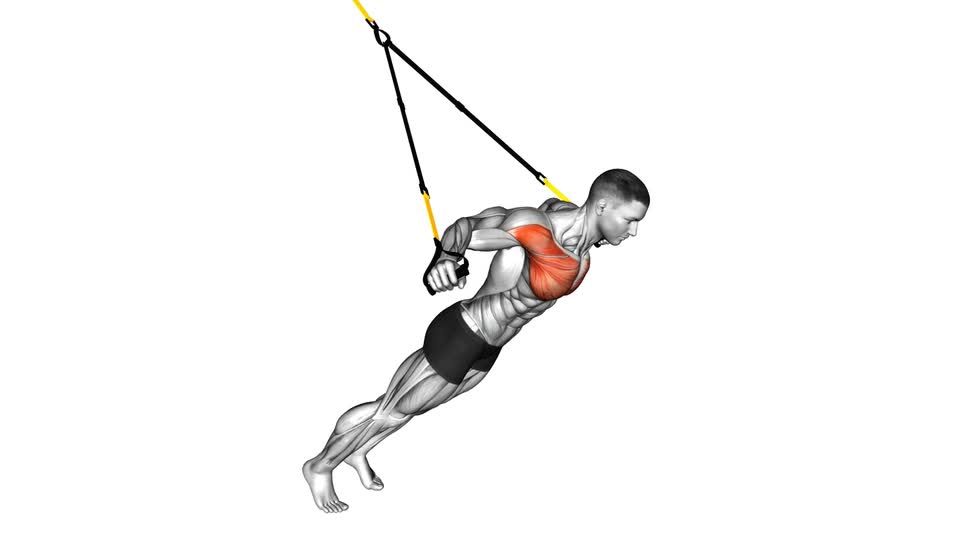 Fly Reps Suspension Chest Fly - ManiacMuscle