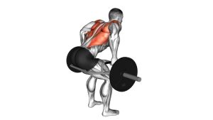 Read more about the article Trap Bar Bent-Over Row