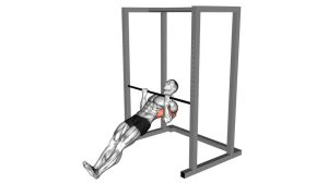 Read more about the article Underhand Grip Inverted Row