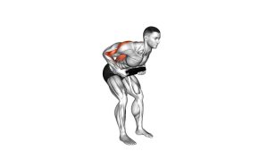 Read more about the article Weighted Plate Bent-Over Row