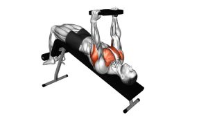 Read more about the article Weighted Plate Decline Chest Press