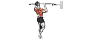Read more about the article Weighted Pull-Up