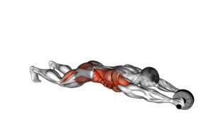 Read more about the article Ab Wheel Rollout