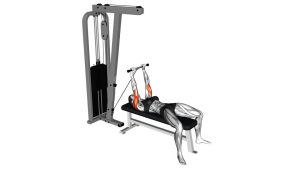 Read more about the article Cable Lying Triceps Extension (Low Pulley)