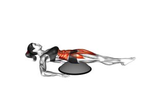 Read more about the article Alternate Straight Leg Raise on BOSU Ball