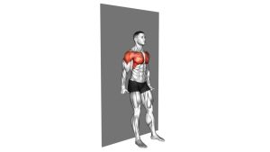 Read more about the article Alternating Shoulder Flexion Back to Wall (Y Raise)