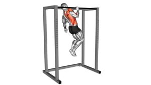 Read more about the article Assisted Single-Arm Pull-Up