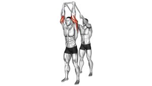 Read more about the article Assisted Standing Triceps Extension (with Towel)