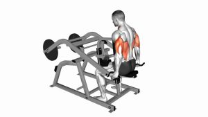 Read more about the article Lever Triceps Dip (Plate-Loaded)