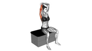 Read more about the article Seated Overhead Triceps Stretch