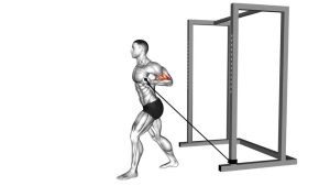 Read more about the article Band 45-Degrees One-Arm Biceps Curl