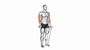 Read more about the article Band Alternating Biceps Curl