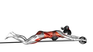 Read more about the article Band-Assisted Wheel Rollout