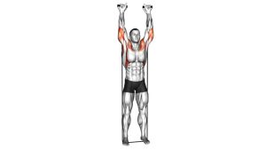 Read more about the article Band Behind-the-Neck Shoulder Press