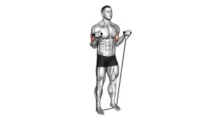 Read more about the article Band Biceps Curl
