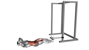 Read more about the article Band Bicycle Crunch