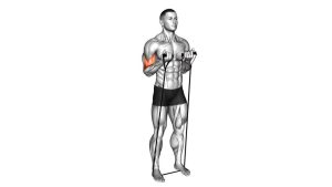 Read more about the article Band Close-Grip Biceps Curl