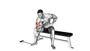 Read more about the article Band Concentration Curl