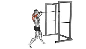 Read more about the article Band Face Pull