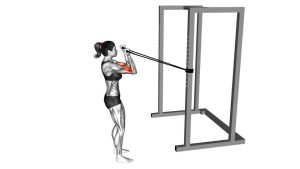 Read more about the article Band Horizontal Biceps Curl