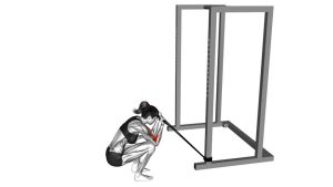 Read more about the article Band Kneeling Preacher Curl