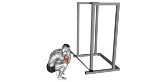 Read more about the article Band Kneeling Preacher Curl