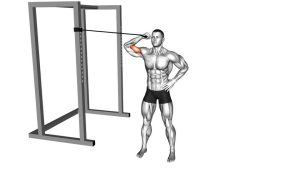 Read more about the article Band One-Arm Overhead Biceps Curl