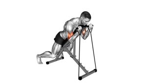 Read more about the article Band Prone Incline Curl
