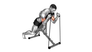 Read more about the article Band Prone Incline Hammer Curl