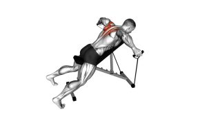 Read more about the article Resistance Band Chest-Supported Reverse Fly