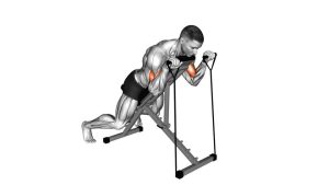 Read more about the article Band Reverse Spider Curl