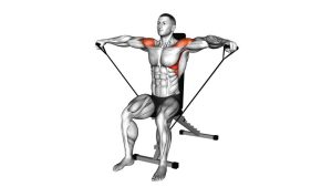 Read more about the article Band Seated Lateral Raise