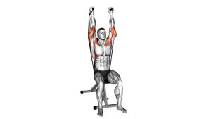 Read more about the article Band Seated Neutral-Grip Shoulder Press