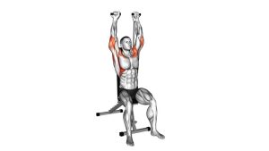 Read more about the article Band Seated Shoulder Press