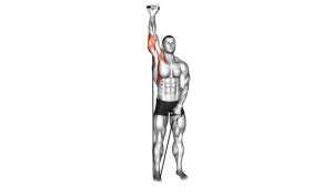 Read more about the article Band Single-Arm Shoulder Press